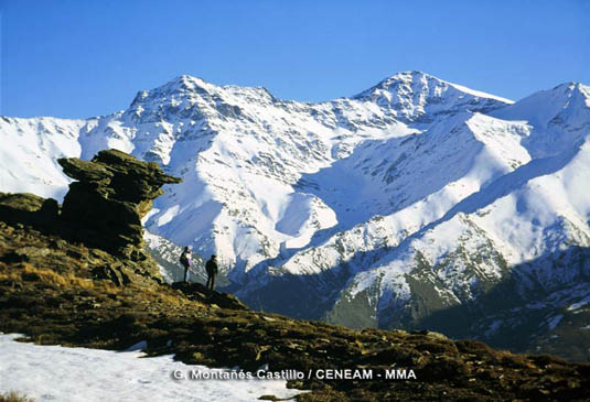 Parque NACIONAL DE SIERRA NEVADA