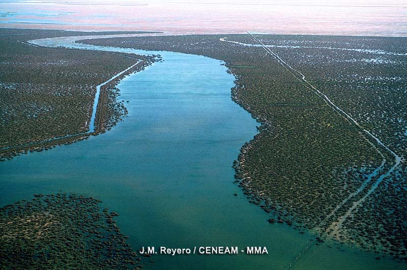 Parque Nacional de Doñana