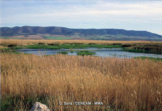 Parque Nacional de las Tablas de Daimiel