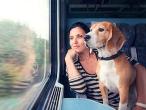 Viajar en tren con animales