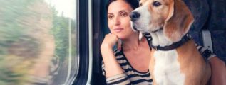 Viajar en tren con animales