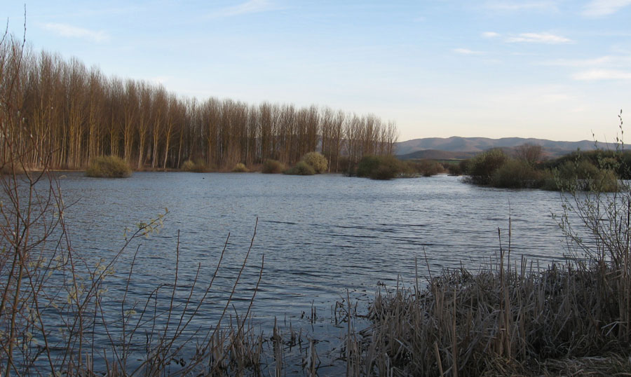 parque salburua