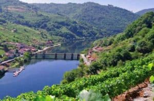 Tren del vino de las Rías Baixas